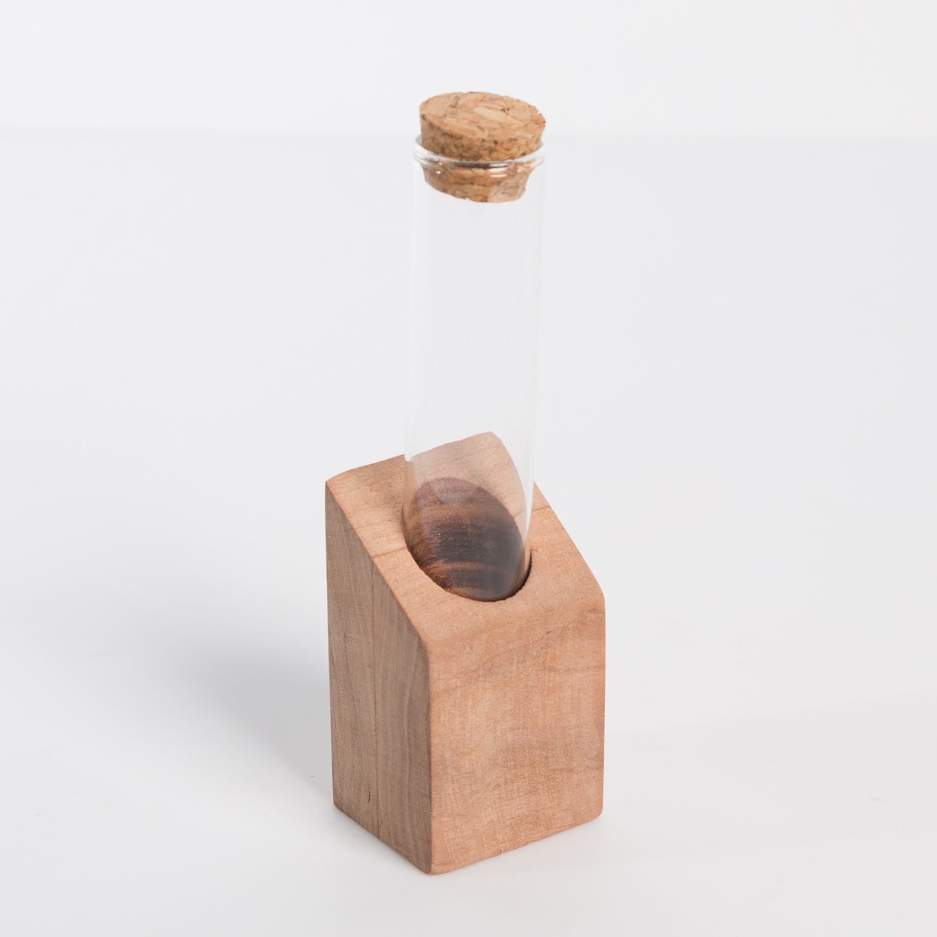 Urban Sprouts Production Propagation Single / Douglas Fir Test Tube Propagation Station