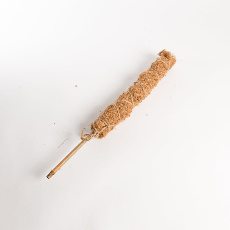 Urban Sprouts Substrate 12" Moss Pole