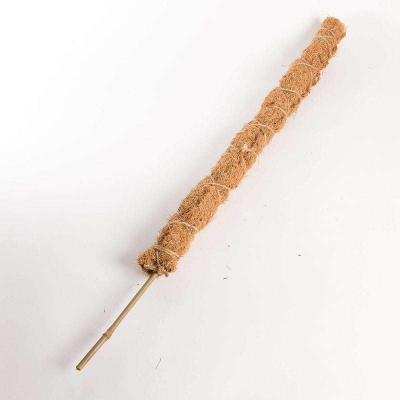 Urban Sprouts Substrate 24" Moss Pole