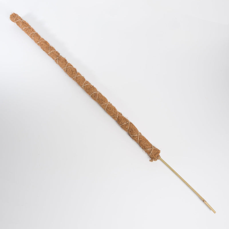 Urban Sprouts Substrate 36" Moss Pole