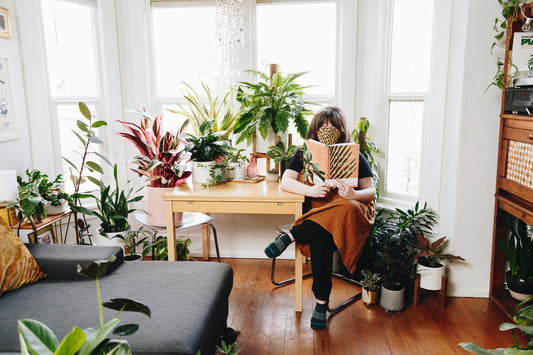 The Ultimate List of "Hardest to Kill" Houseplants