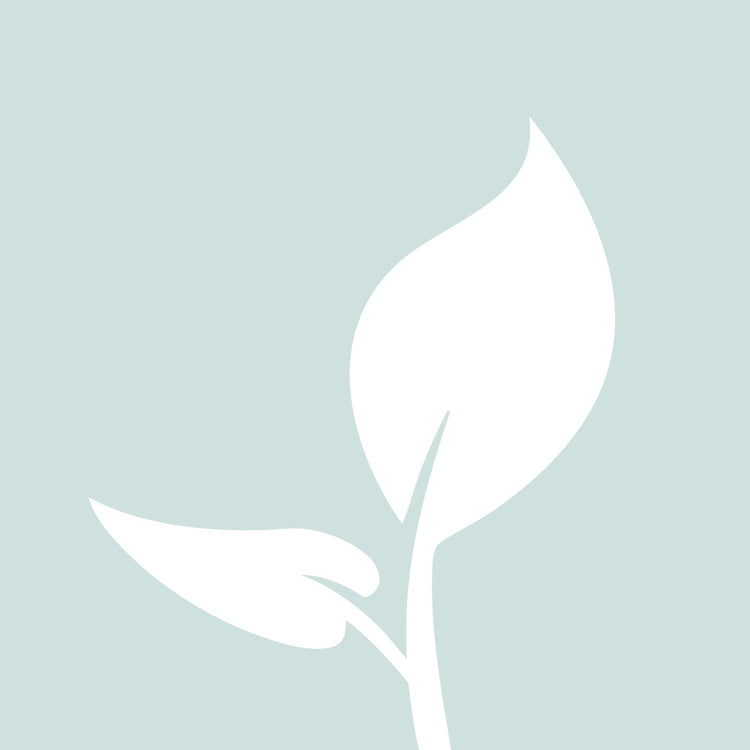 Aquatic Plants