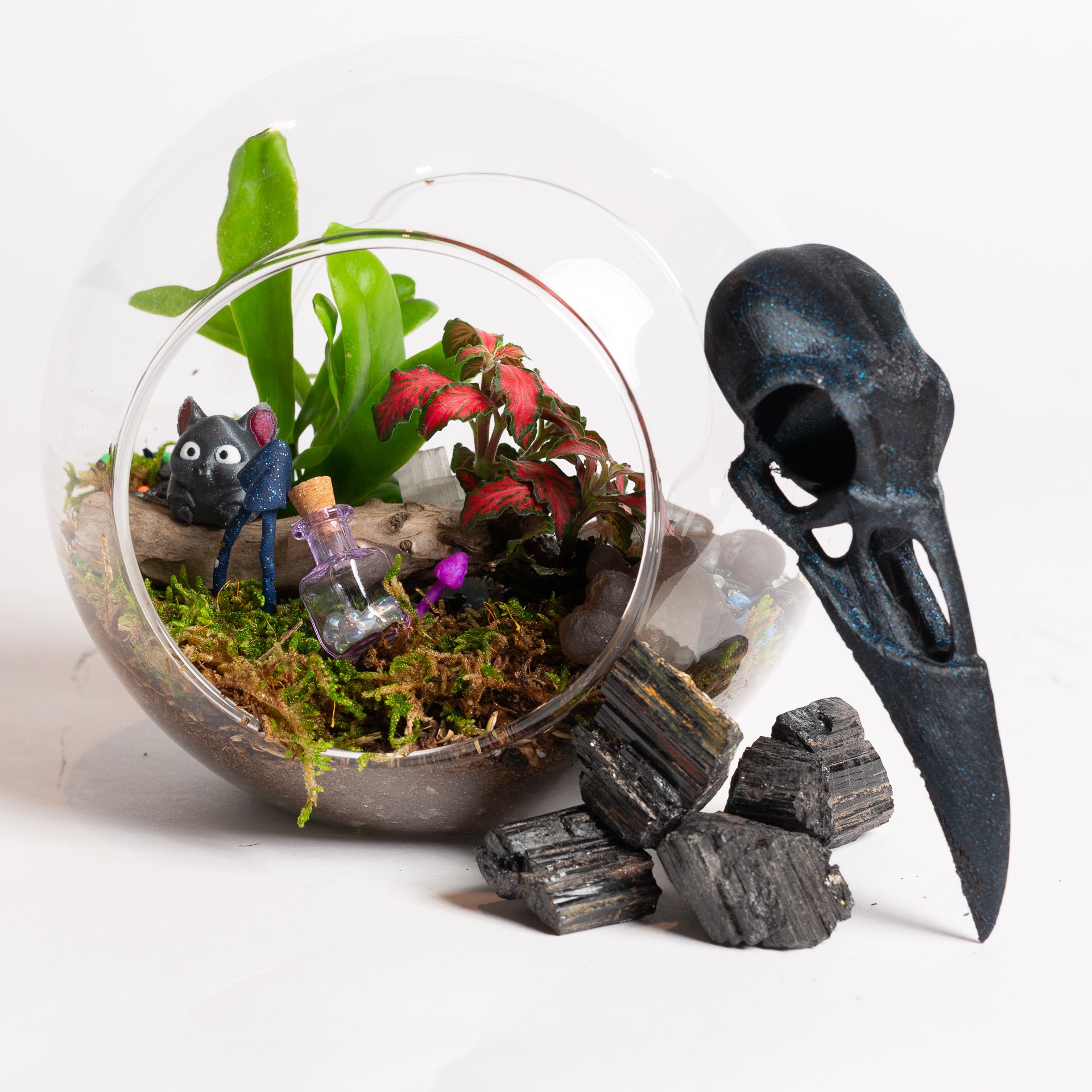 TEMPLATE // Witchy Fairy Garden Workshop - Urban Sprouts