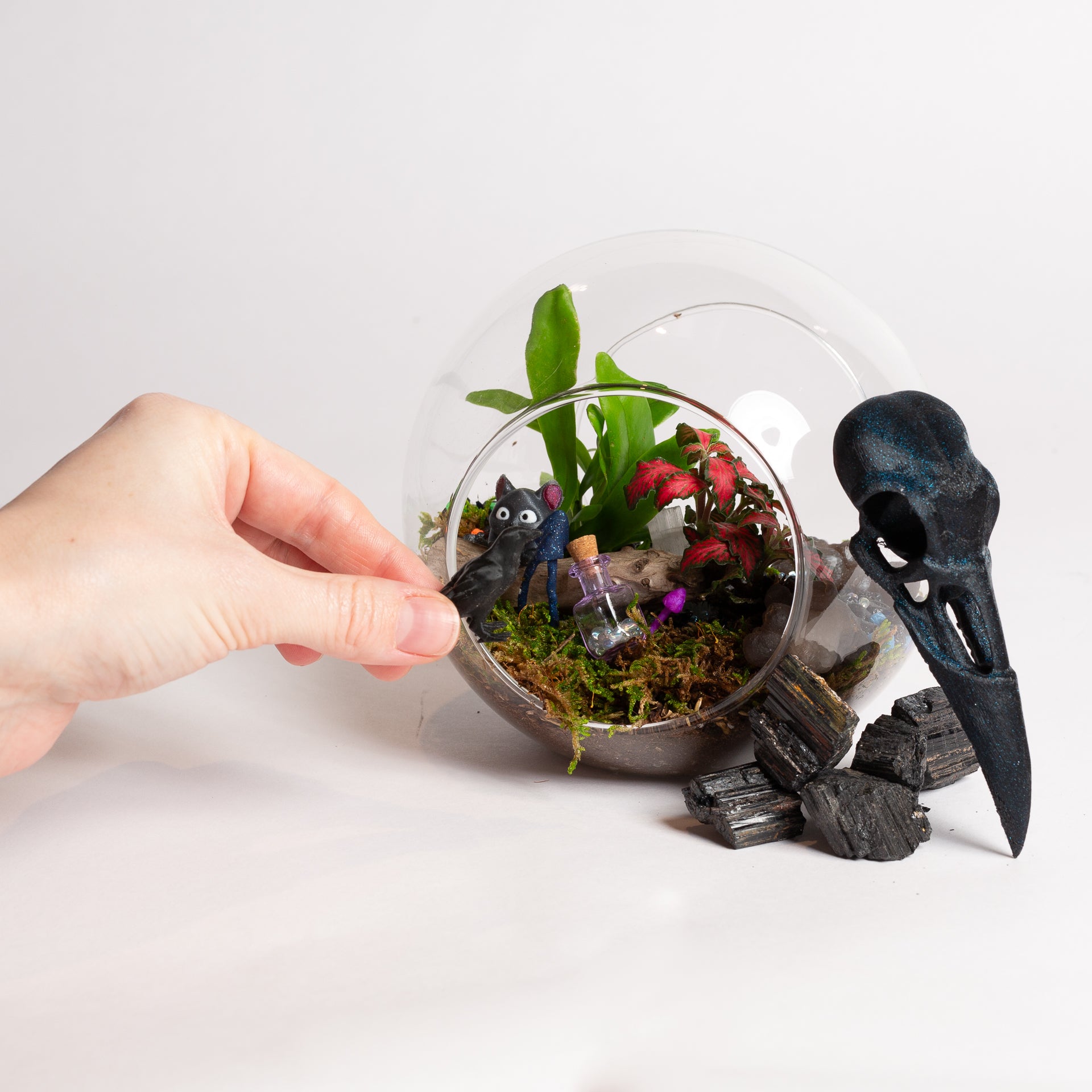 TEMPLATE // Witchy Fairy Garden Workshop - Urban Sprouts