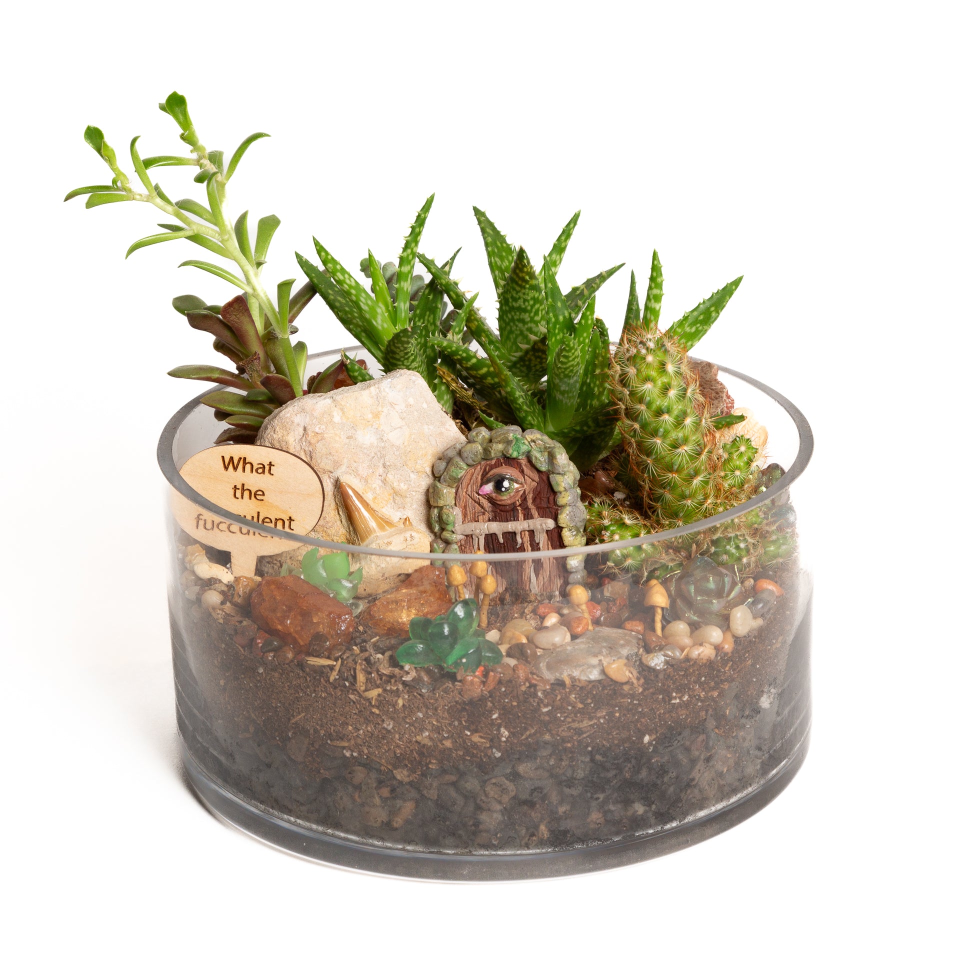 11/7 @ 6:00 Succulent Bowls Workshop - Urban Sprouts