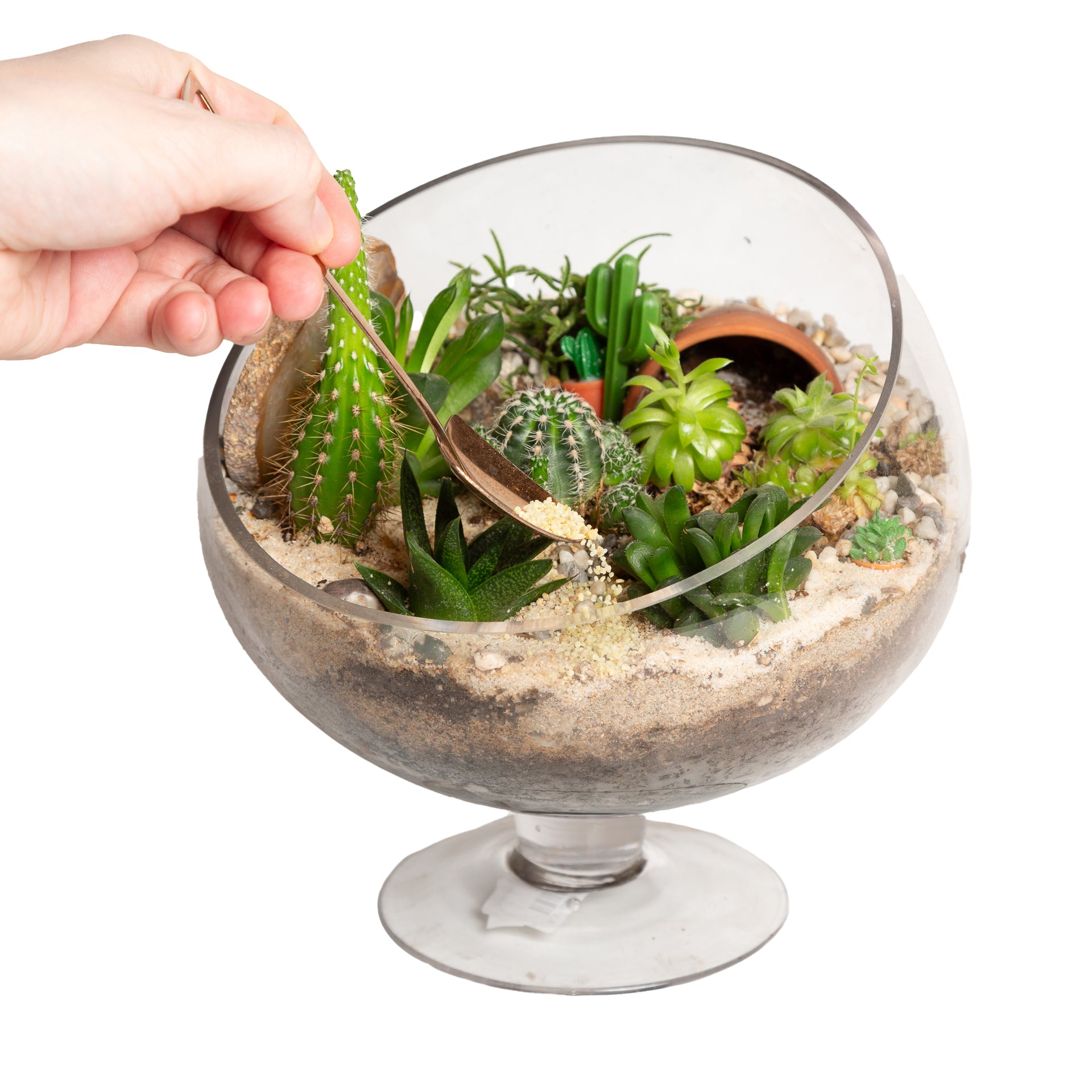 11/7 @ 6:00 Succulent Bowls Workshop - Urban Sprouts