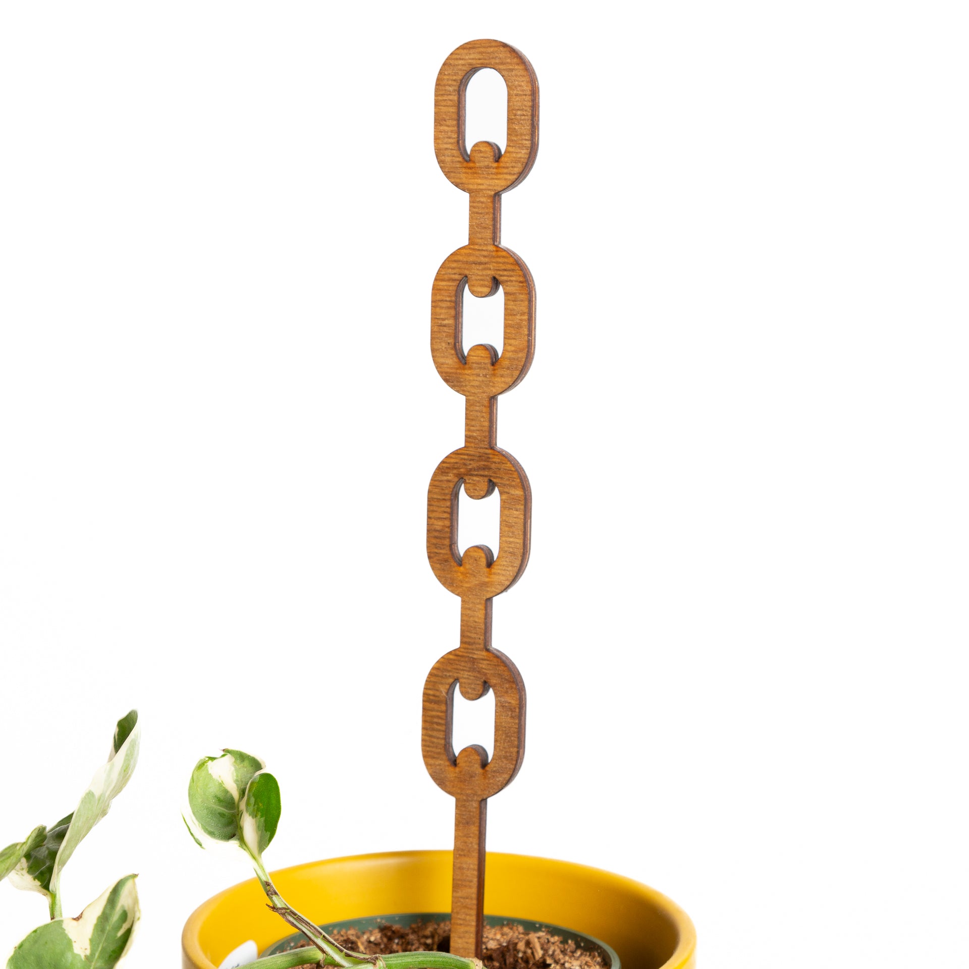 plant trellis chain 11" Round Walnut Chain Link Trellis