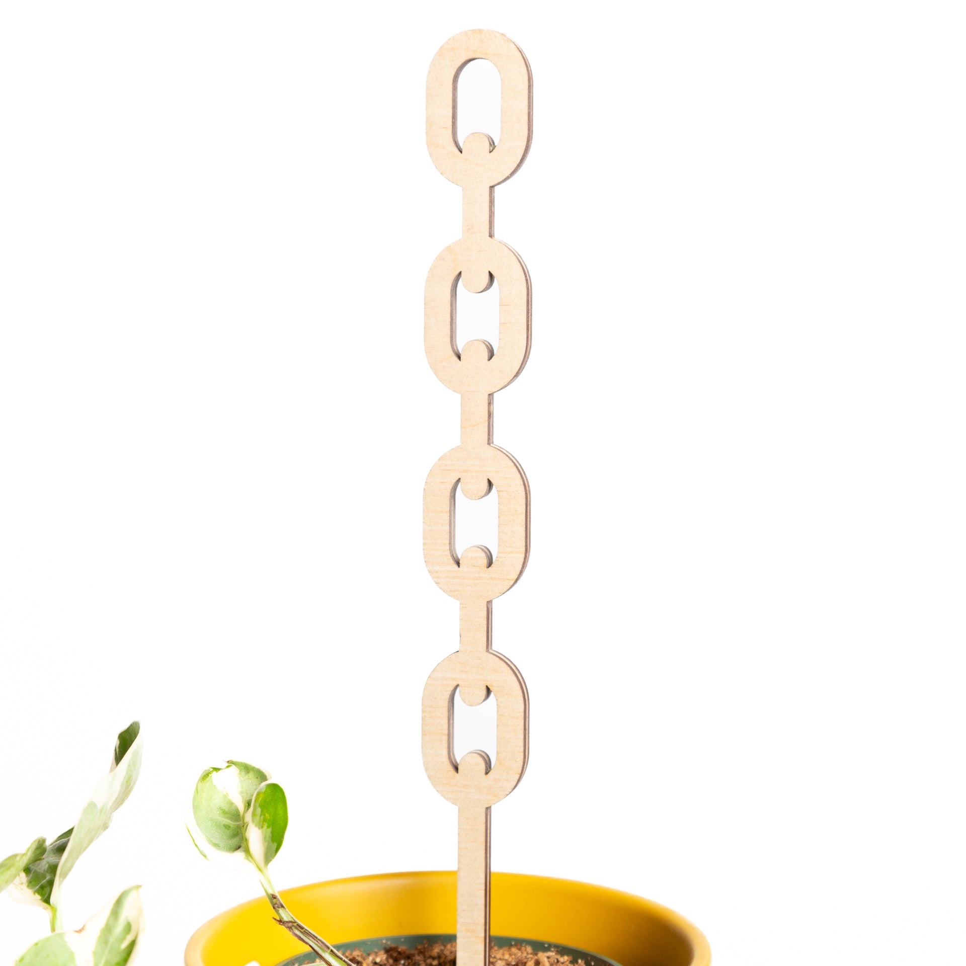 11" Classic pine Chain Link Trellis - Urban Sprouts