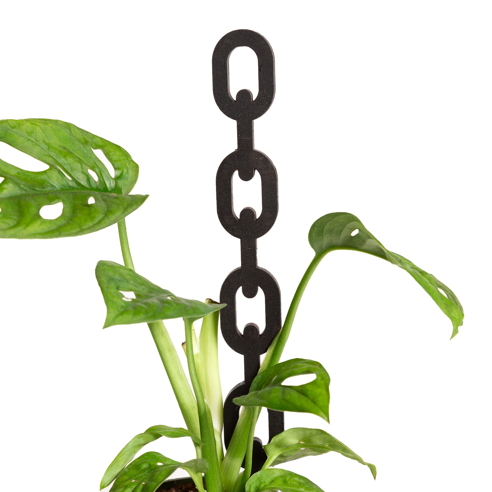 11" Classic Black Chain Link Trellis - Urban Sprouts