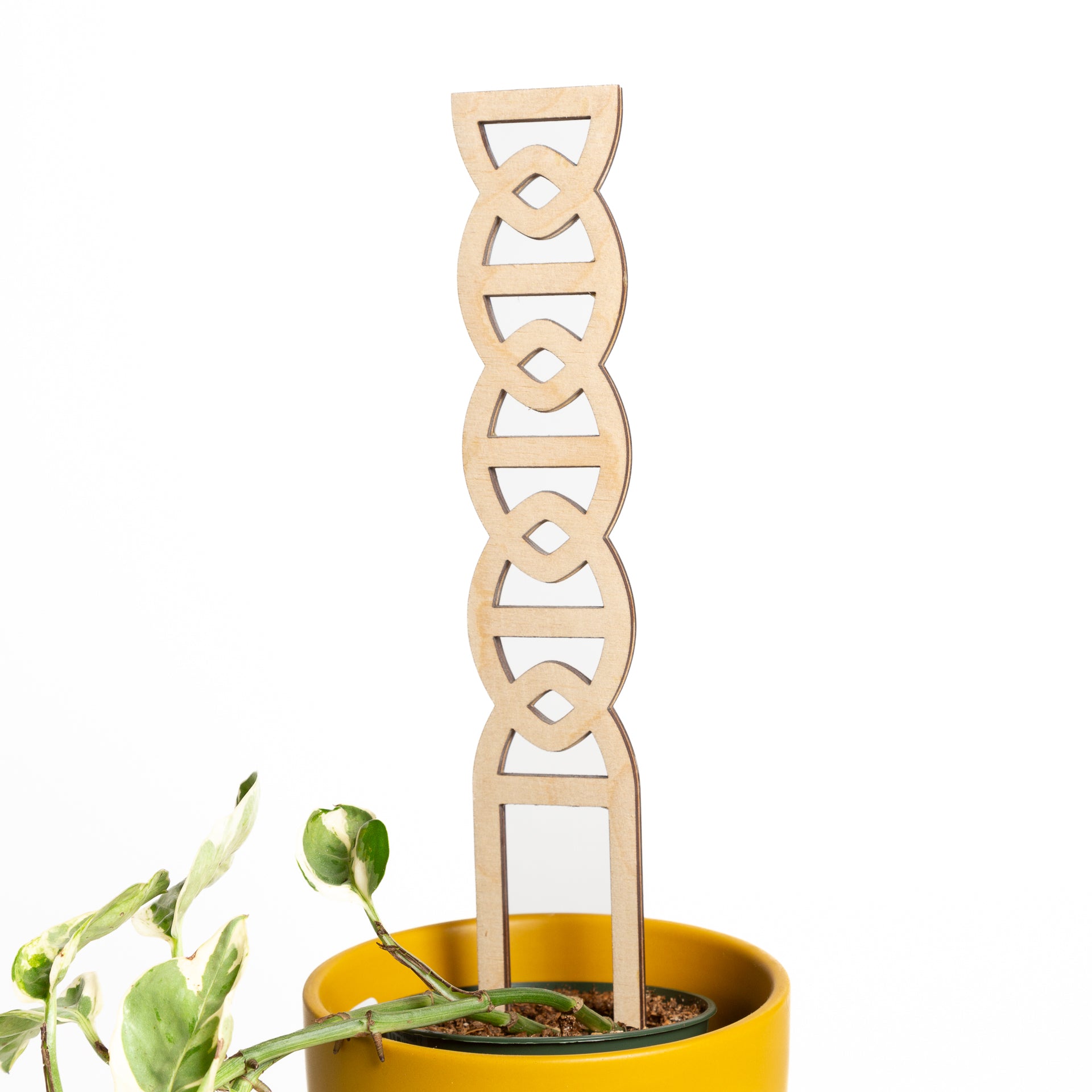 11" Hourglass Pine Chain Link Trellis - Urban Sprouts