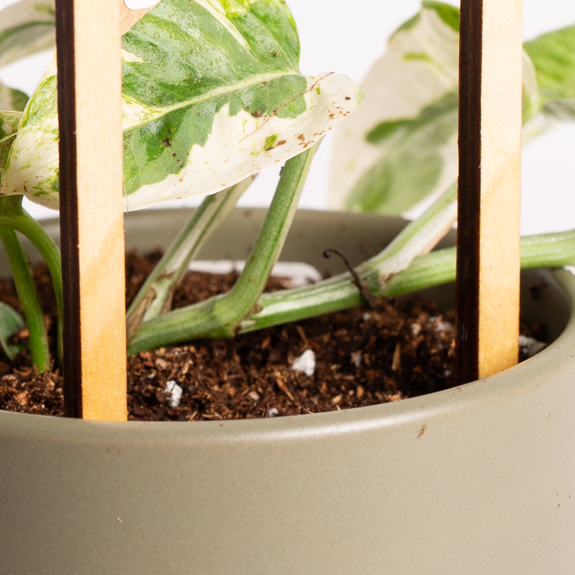 11" Hourglass Black Chain Link Trellis - Urban Sprouts