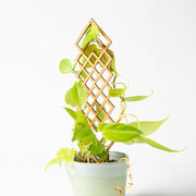 Small multi-diamond trellis (11") - Urban Sprouts