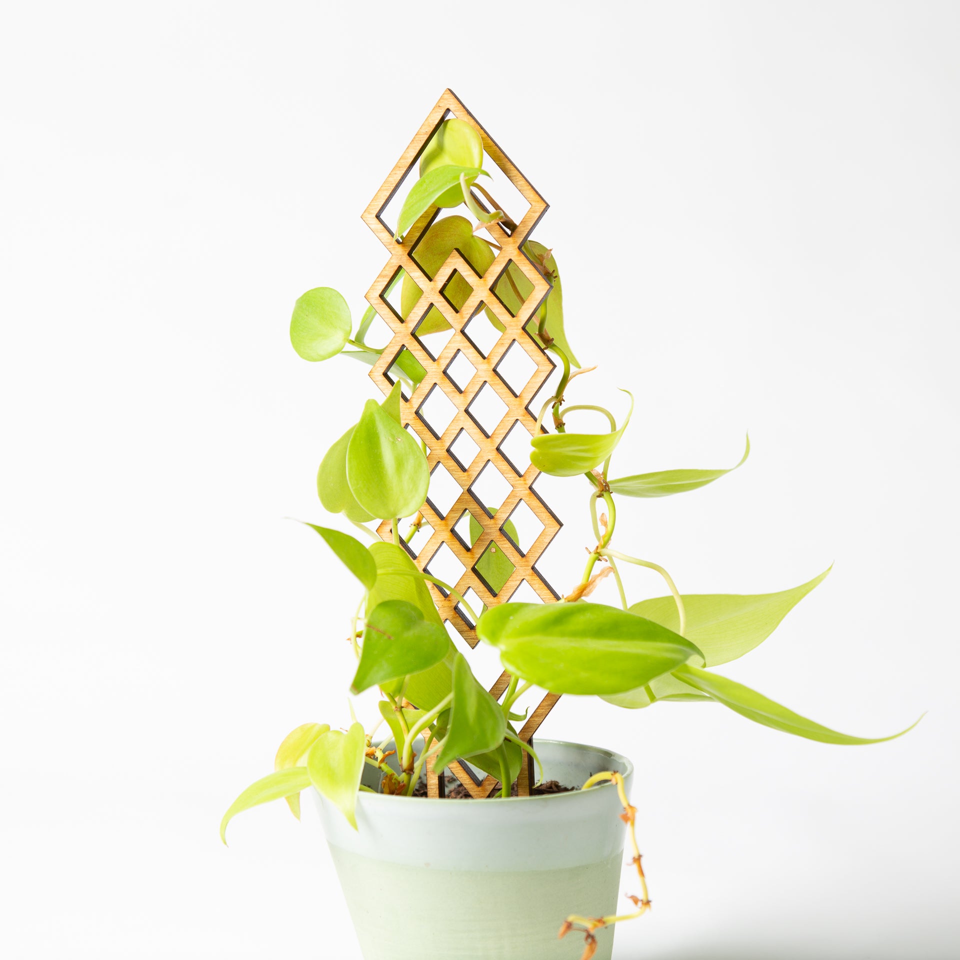 Small multi-diamond trellis (11") - Urban Sprouts