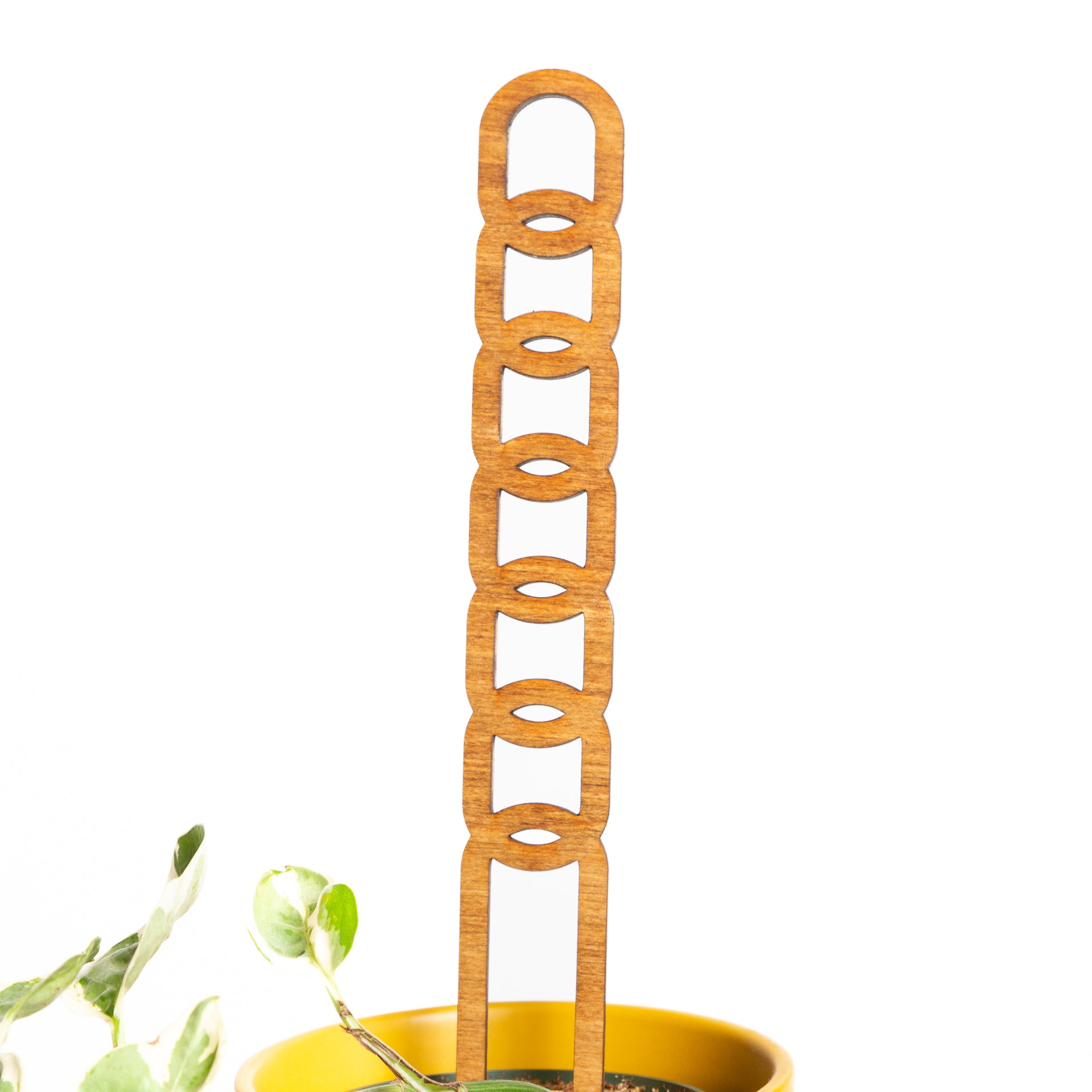 11" Oval Walnut Chain Link Trellis - Urban Sprouts