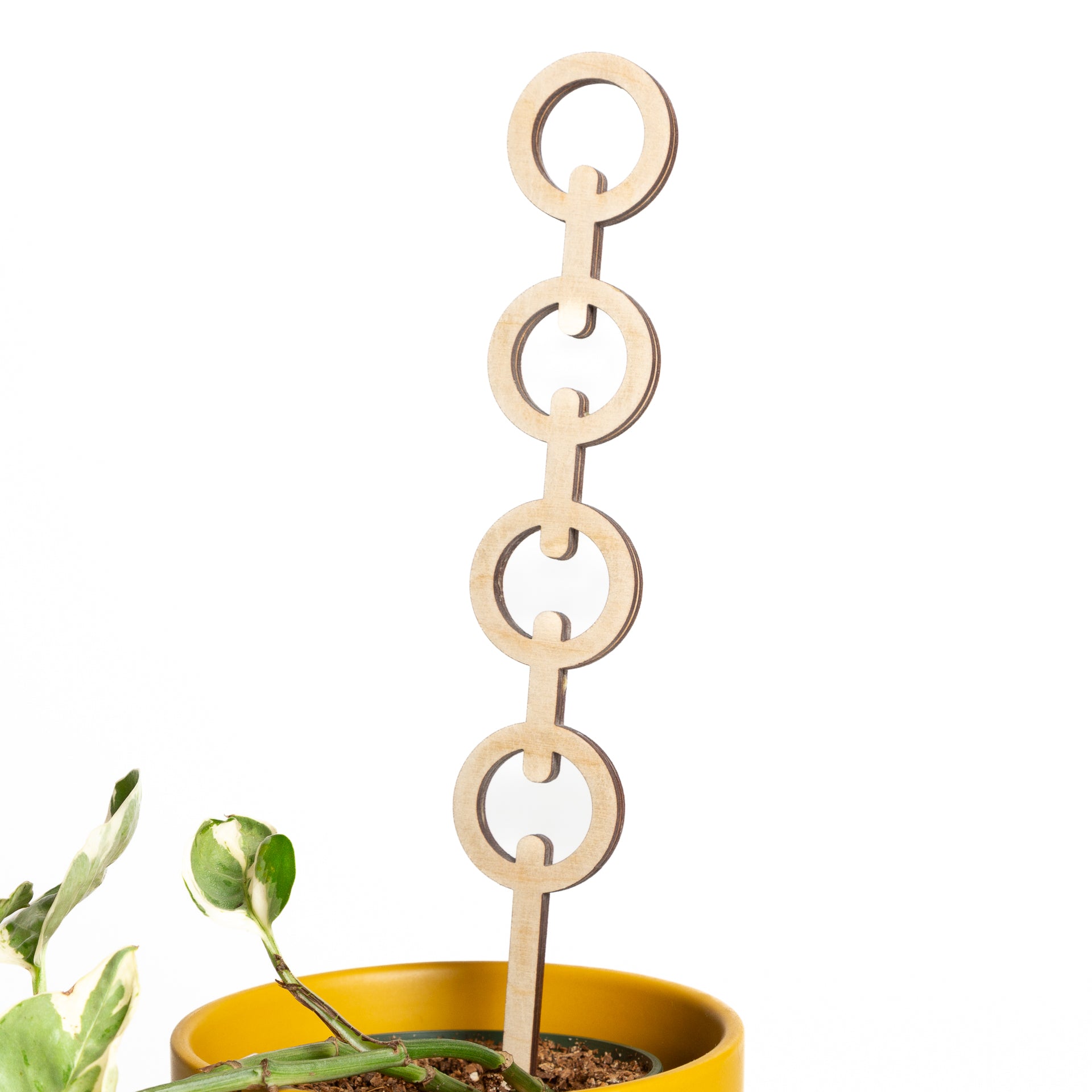 11" Round Pine Chain Link Trellis - Urban Sprouts