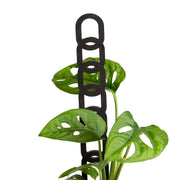 11" Oval Black Chain Link Trellis - Urban Sprouts