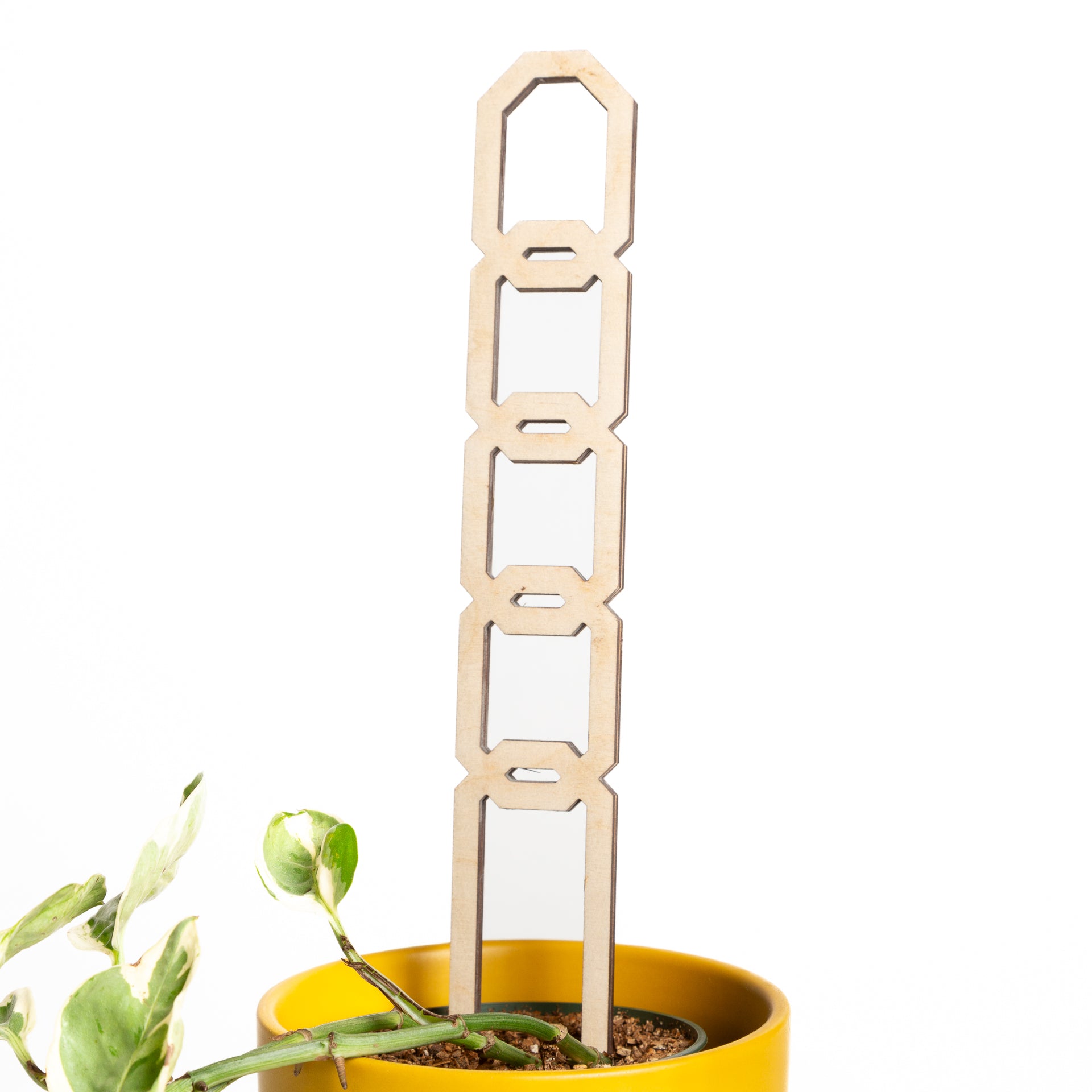 11" Wide Hexagon Pine Chain Link Trellis - Urban Sprouts