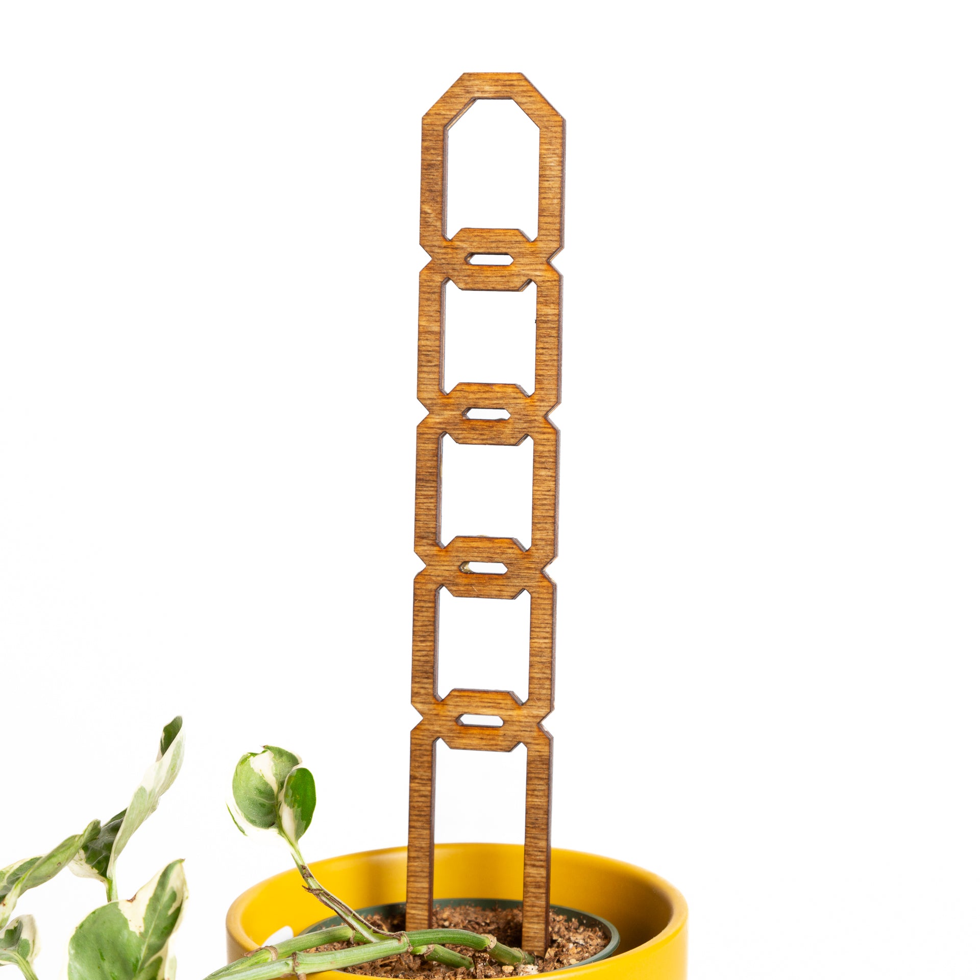 11" Wide Hexagon Walnut Chain Link Trellis - Urban Sprouts