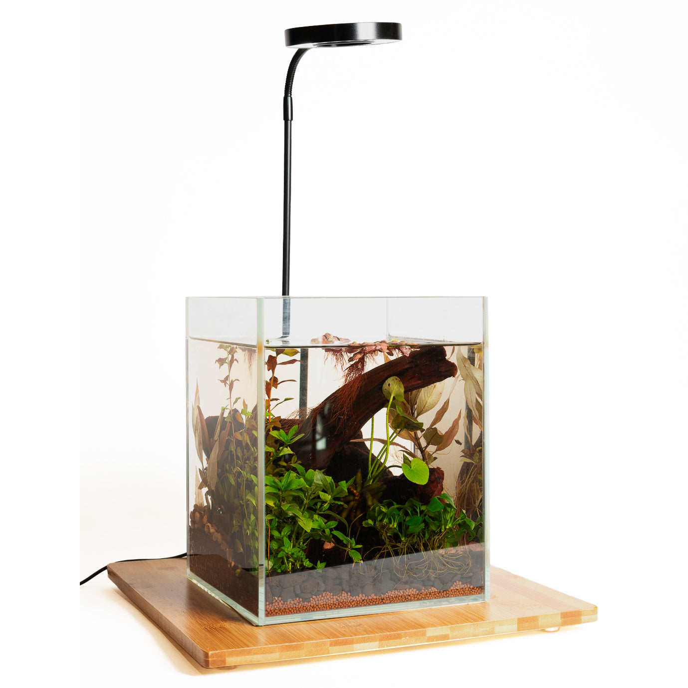 13x13 12 Watt Grow Light with Base - Urban Sprouts