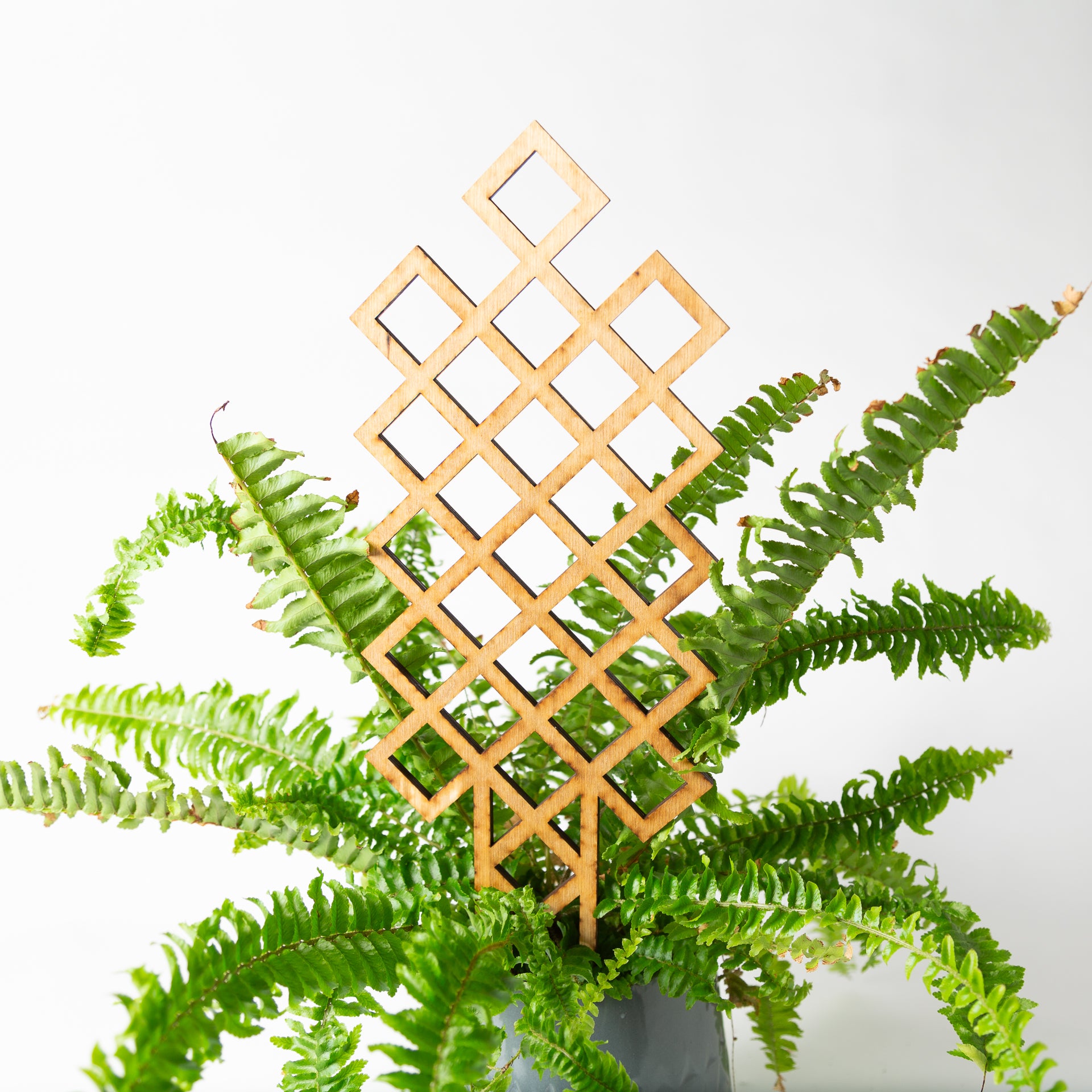 Medium Cross hatch trellis (16") - Urban Sprouts