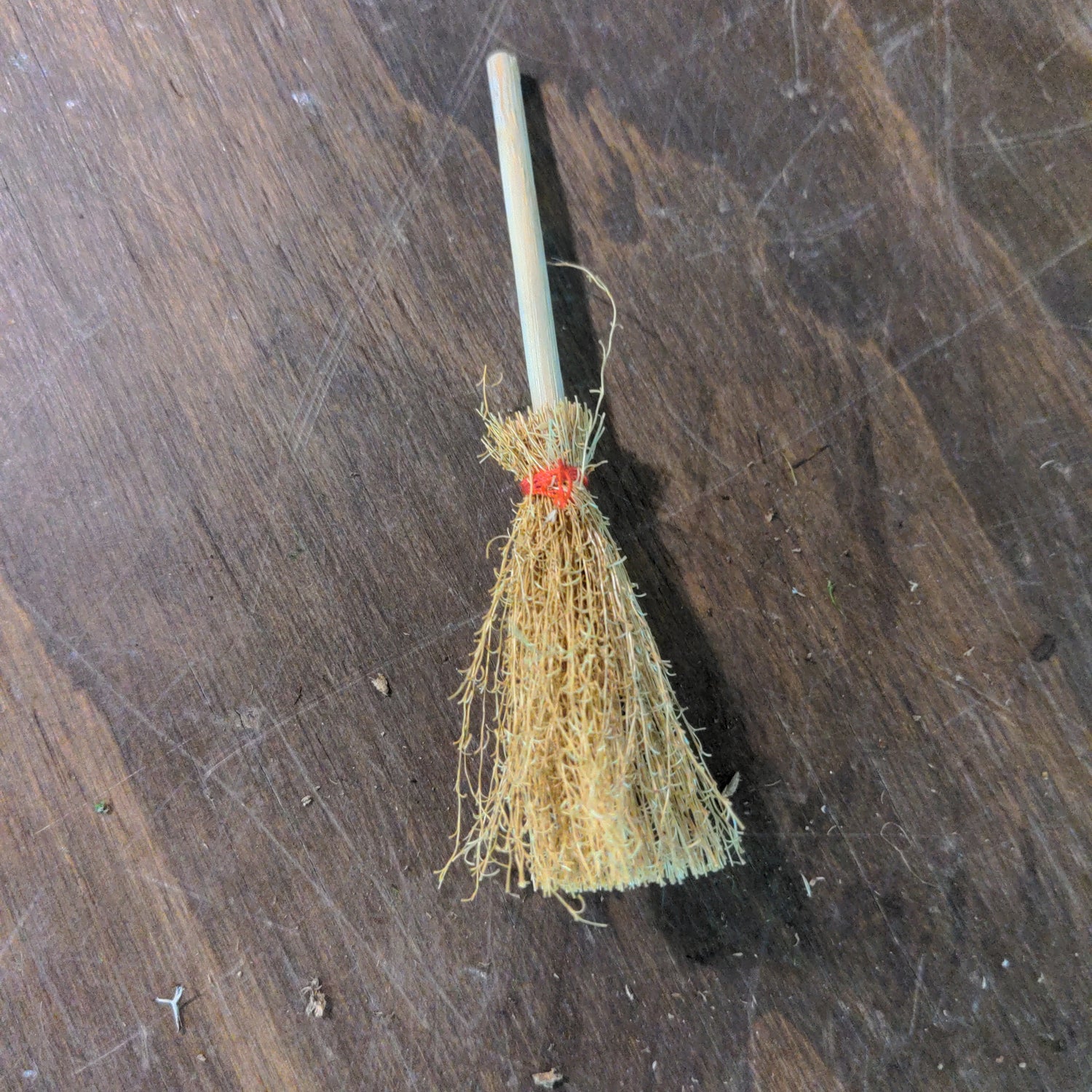 Witches Broom - Urban Sprouts