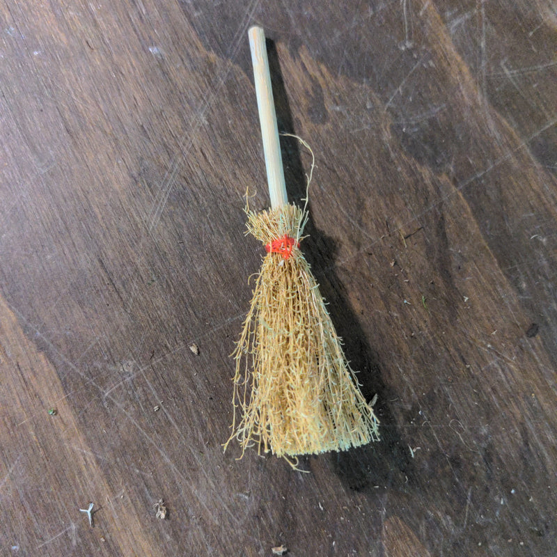 Witches Broom - Urban Sprouts