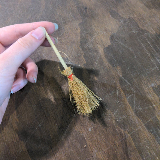 Witches Broom - Urban Sprouts