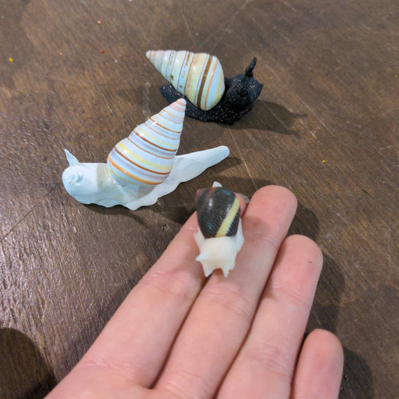 Clay snail - Urban Sprouts