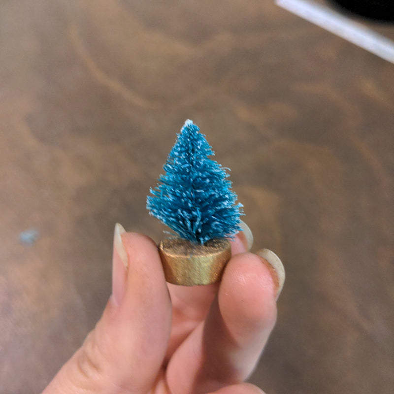 Bottle brush tree - Urban Sprouts