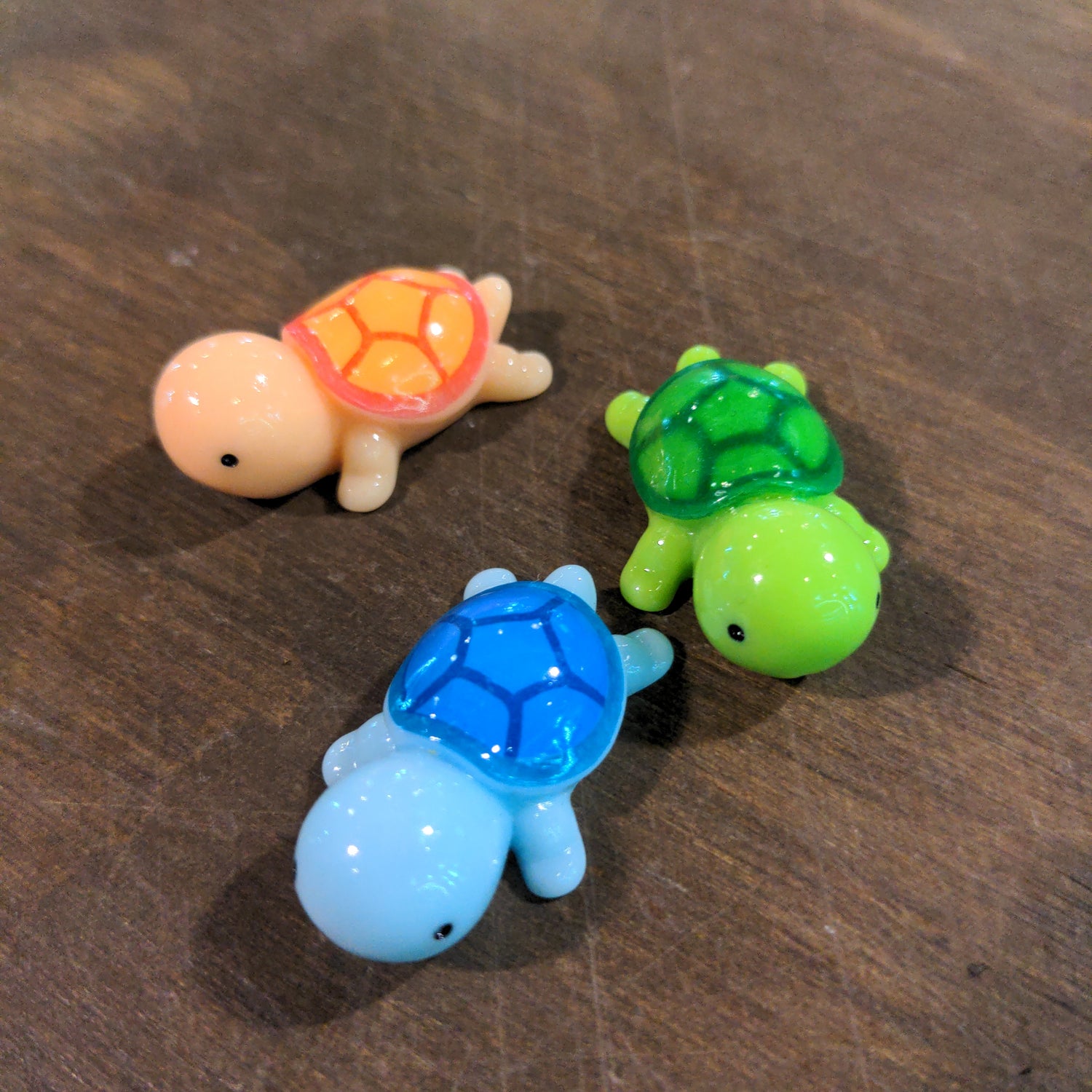 Plastic turtle - Urban Sprouts
