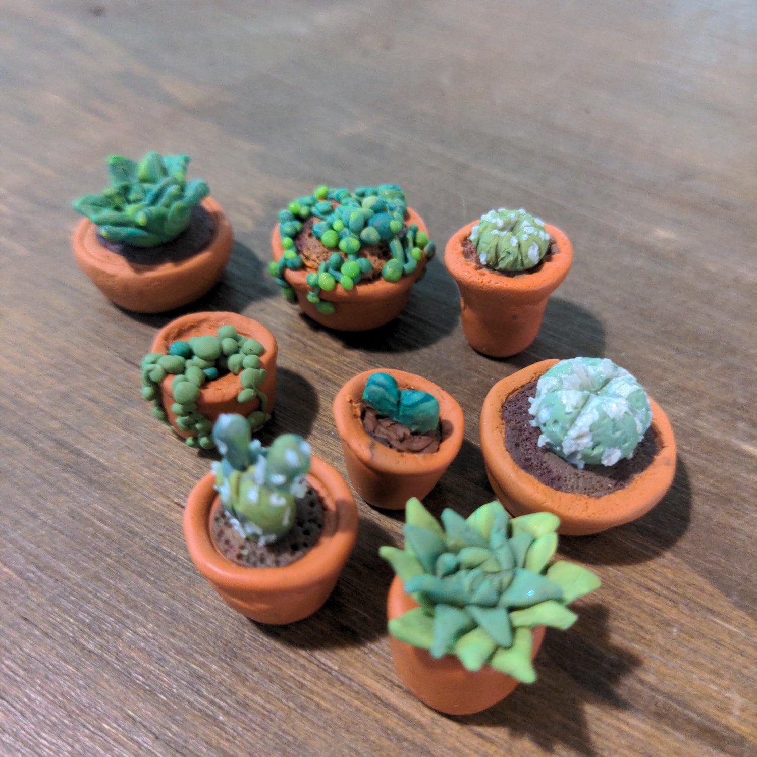Miniature clay plants - Urban Sprouts