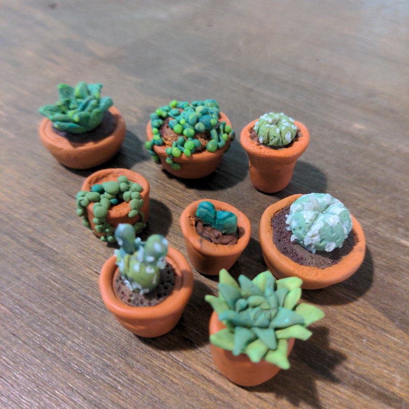 Miniature clay plants - Urban Sprouts