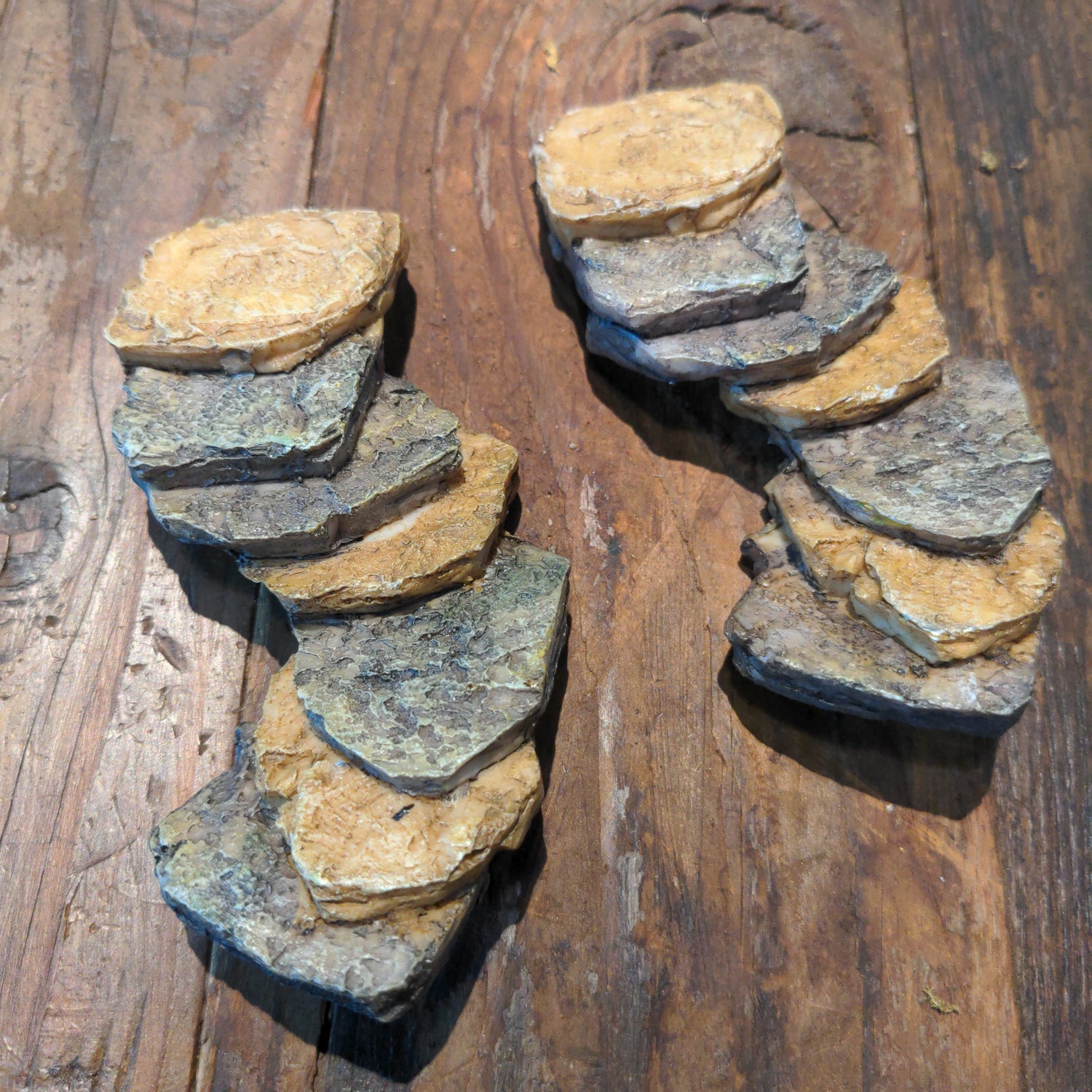 Steppingstone path - Urban Sprouts