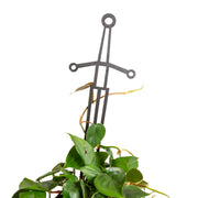 18" Black Sword Trellis - Urban Sprouts