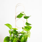 18" Pine Moon Phase Trellis - Urban Sprouts