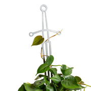 18" Silver Sword Trellis - Urban Sprouts