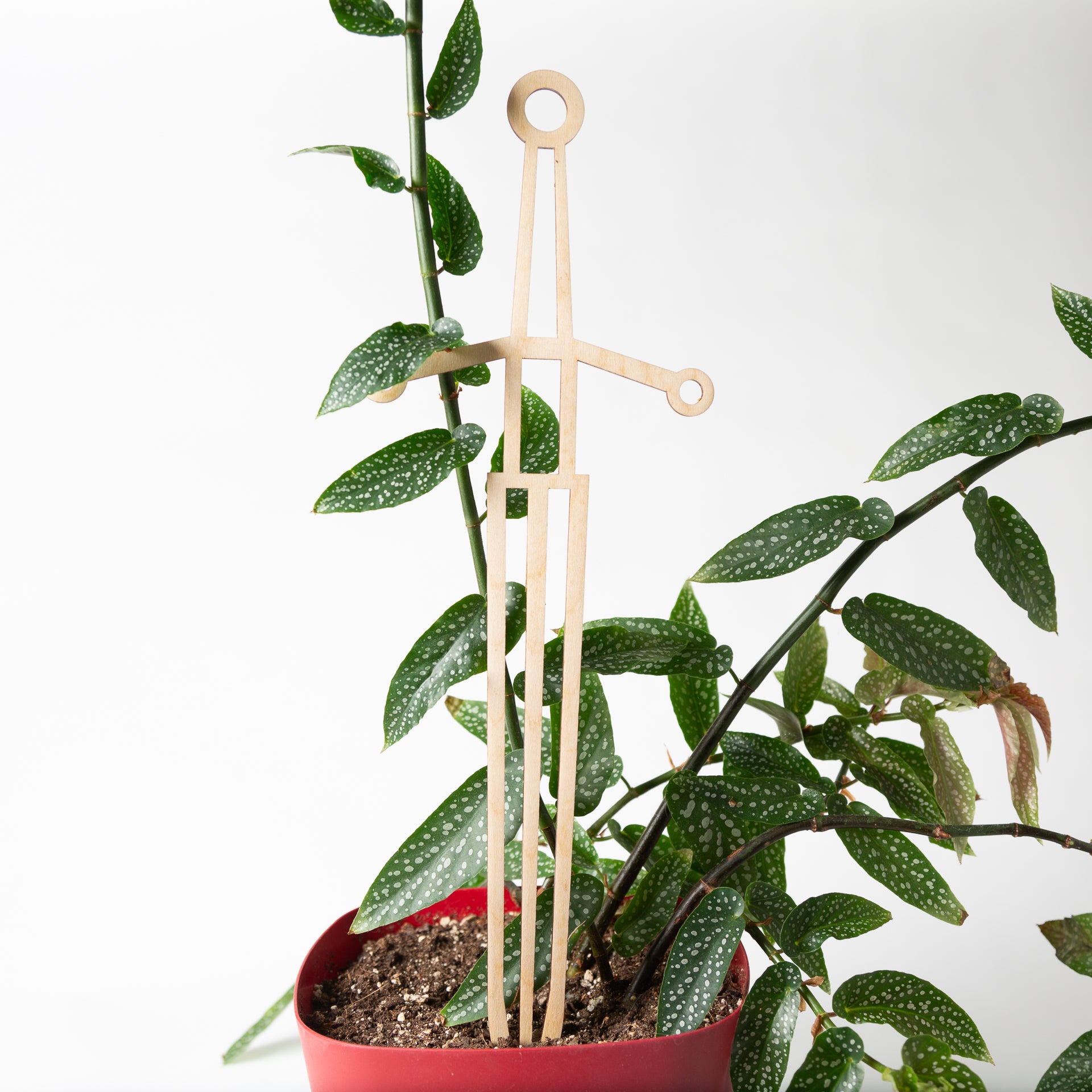 Sword Trellis - Urban Sprouts