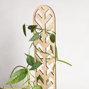 19" Pine Arrow Lattice Trellis