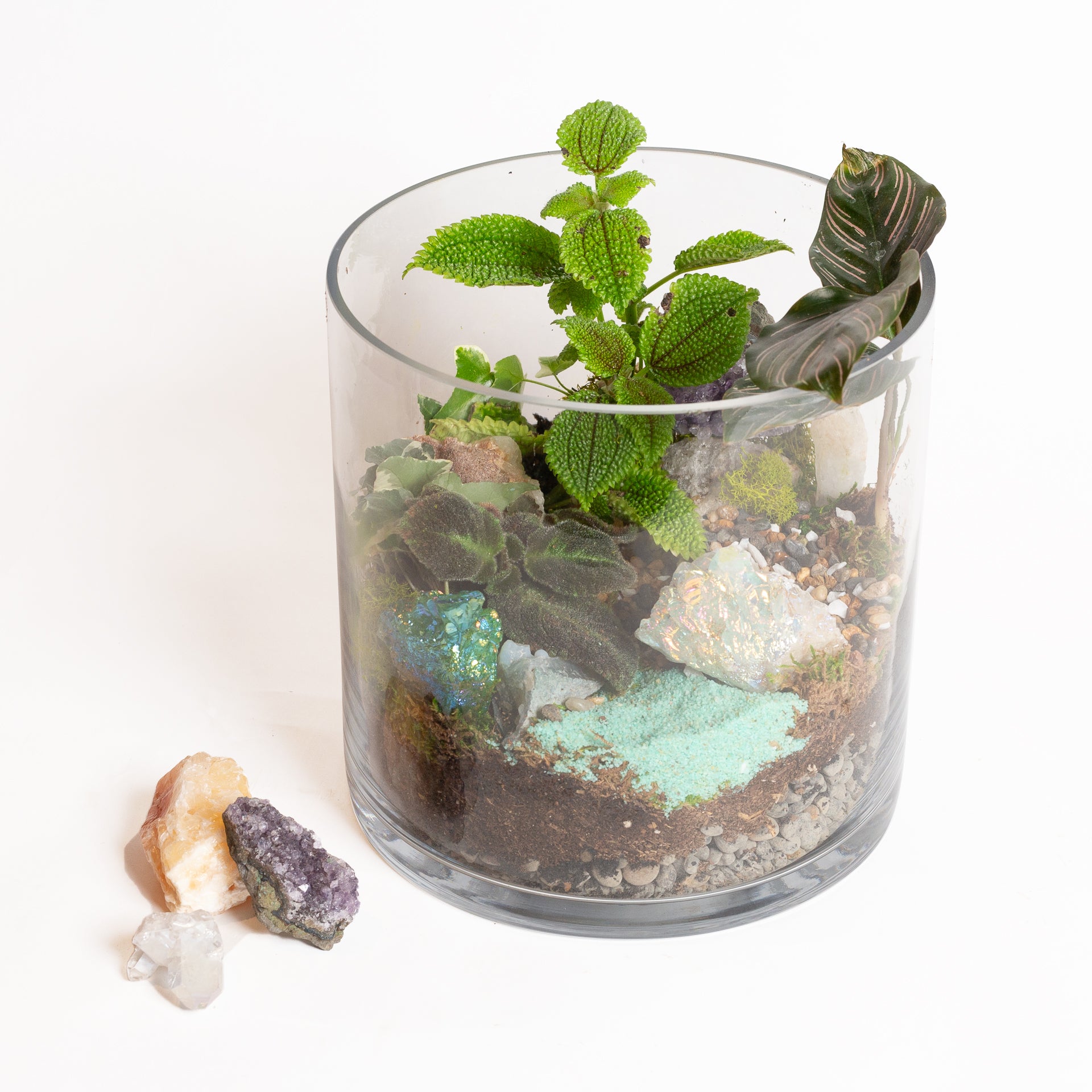 8/24 @ 2:00 Crystal Terrarium Workshop - Urban Sprouts
