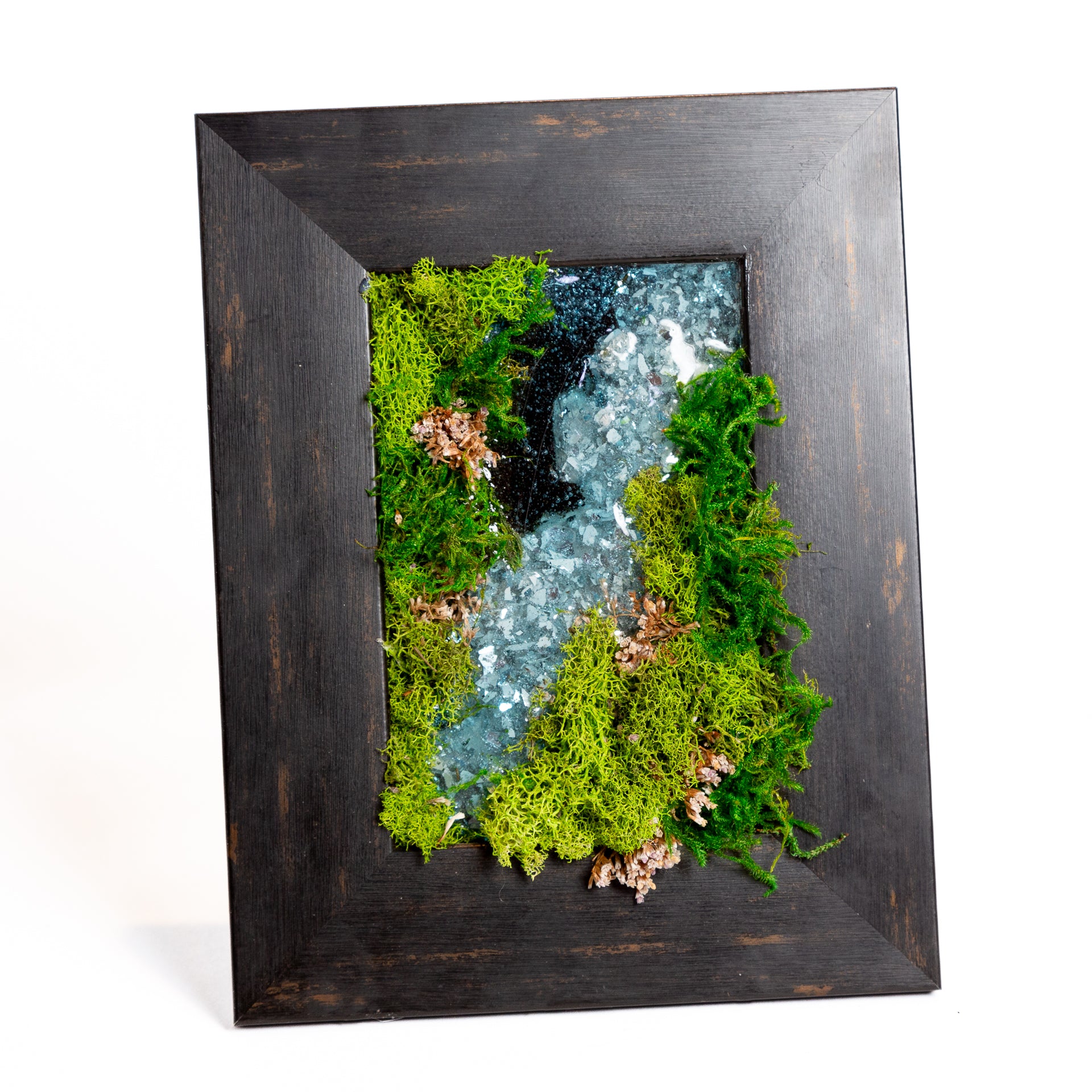 2/16 @ 4:00 No Maintenance Moss Frames Workshop - Urban Sprouts