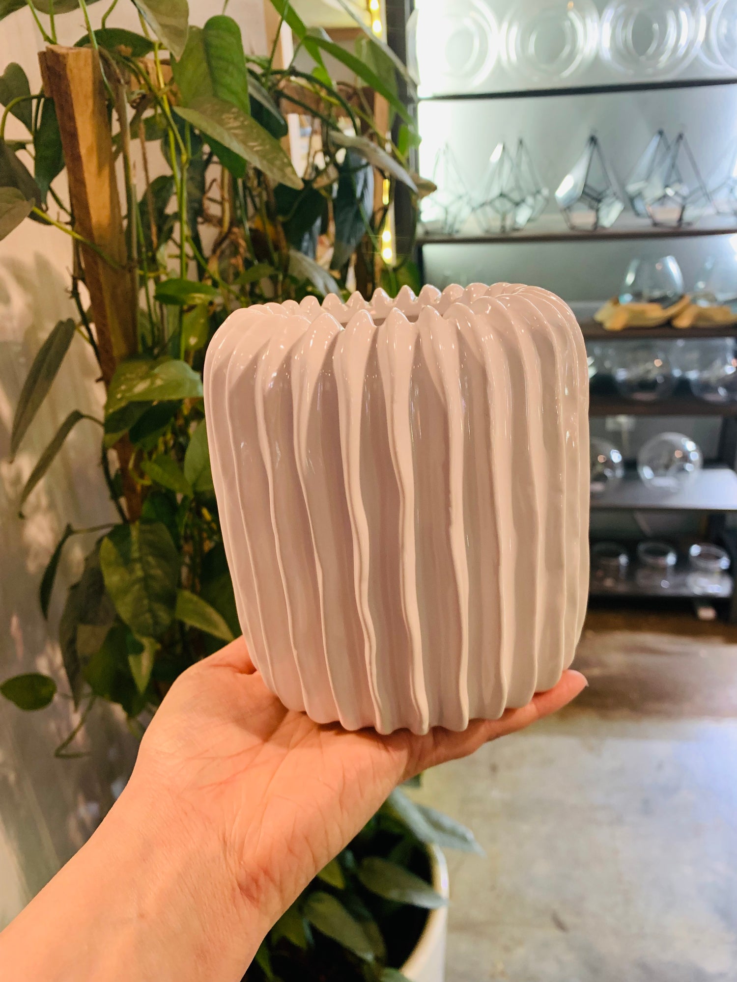 White Frill Vase 5" - Urban Sprouts