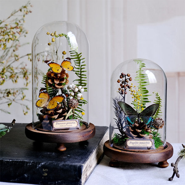 9/29 @ 5:00 Preserved Butterfly Terrariums
