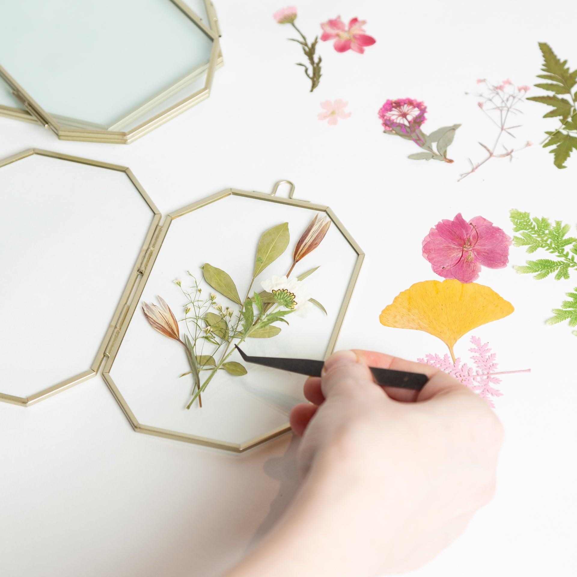 6/22 @ 2:00 Botanical Suncatchers Workshop - Urban Sprouts