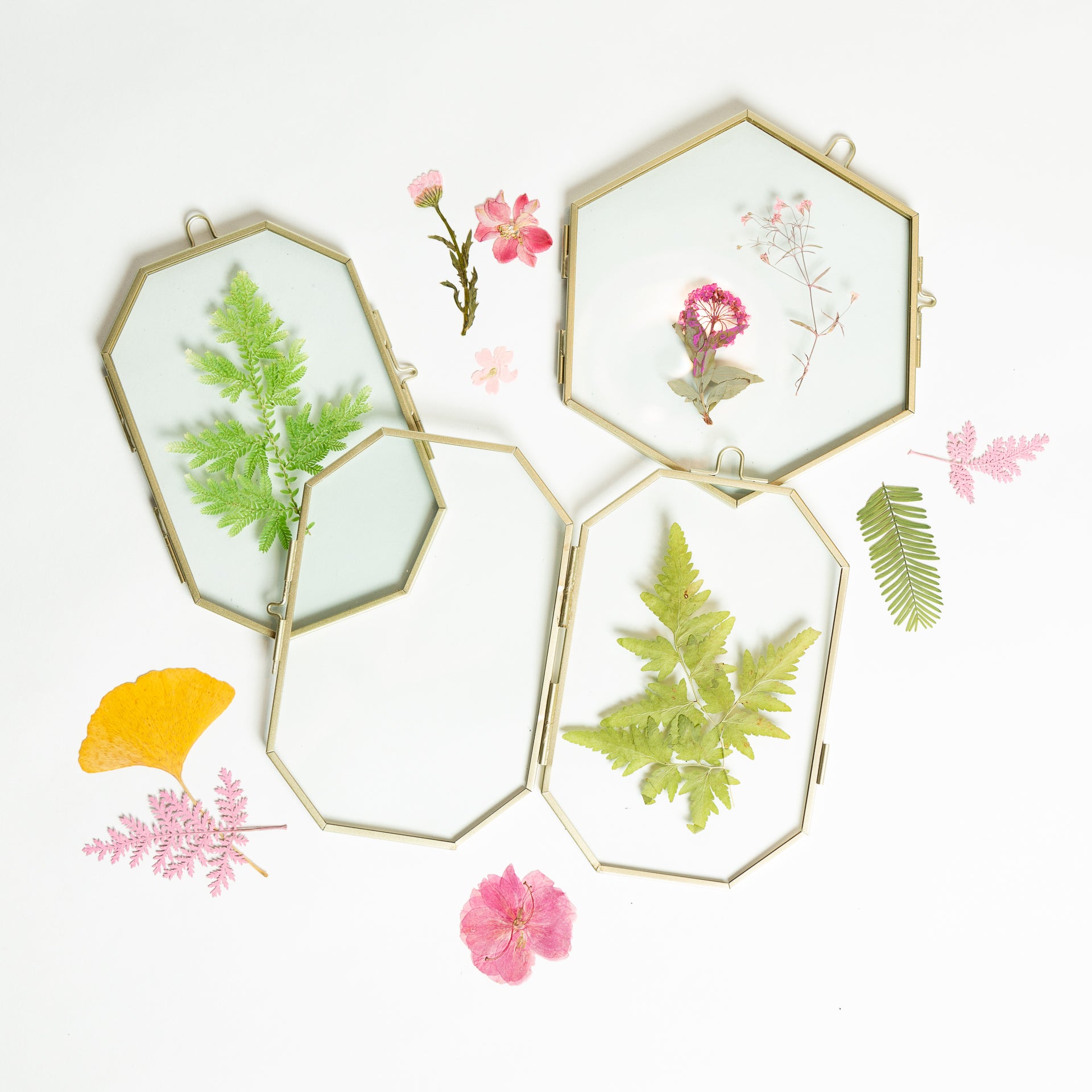 6/22 @ 2:00 Botanical Suncatchers Workshop - Urban Sprouts