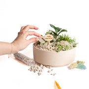 4/26 @ 2:00 Succulent Bowls Workshop - Urban Sprouts