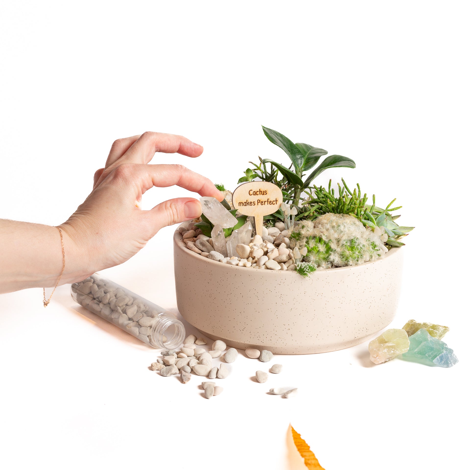 4/26 @ 2:00 Succulent Bowls Workshop - Urban Sprouts