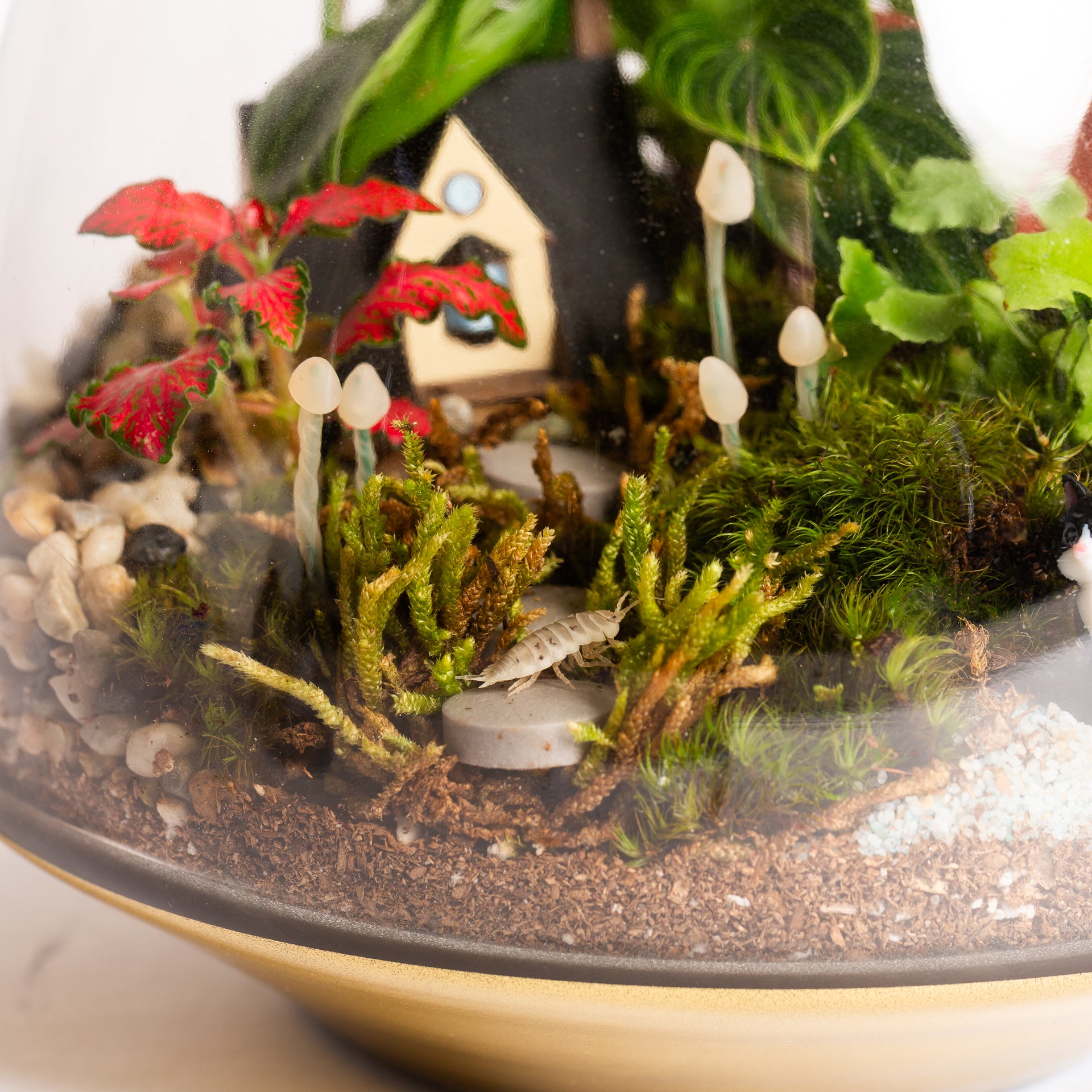 5/31 @ 2:00 Isopod Terrarium Workshop - Urban Sprouts