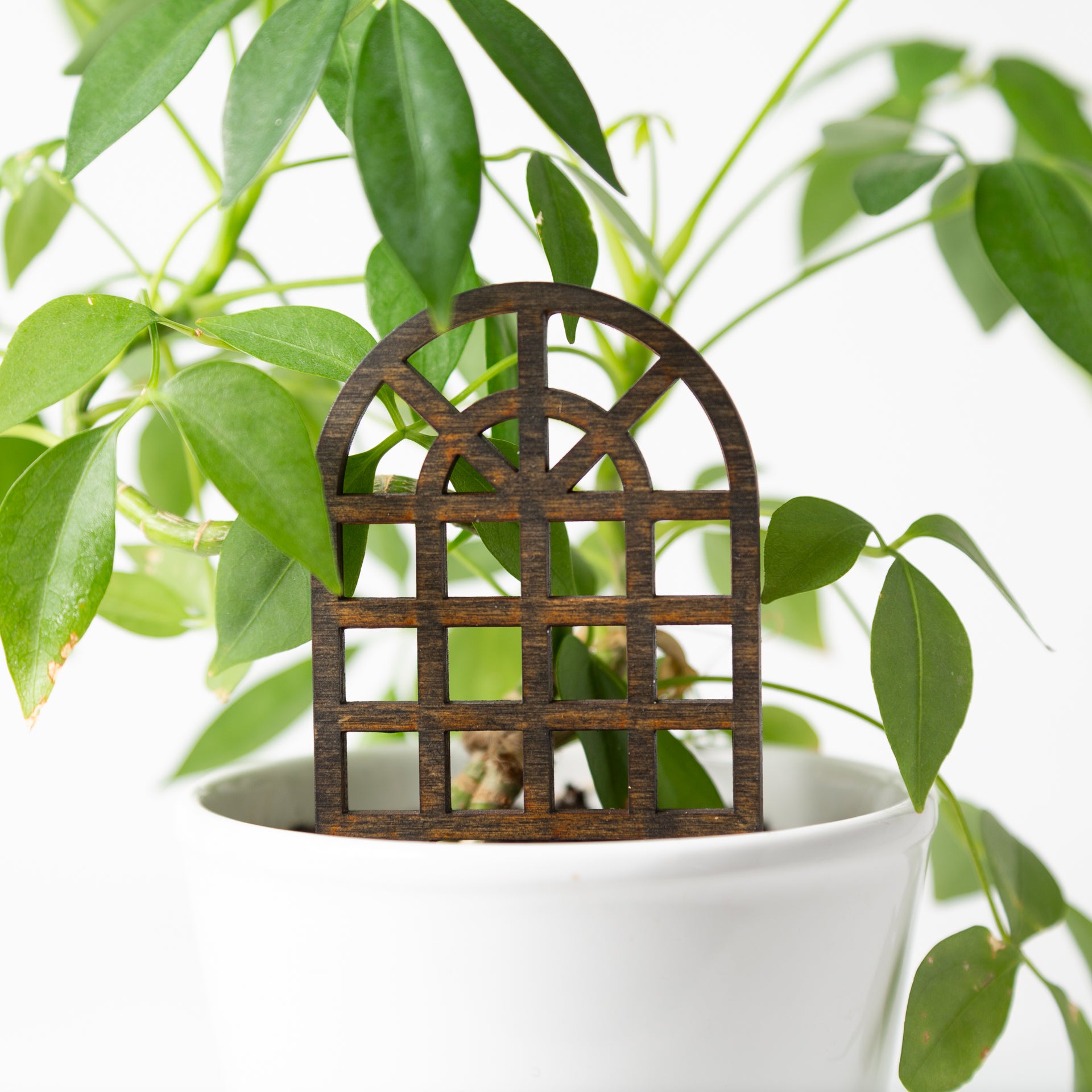 Mini window trellis (6" tall) - Urban Sprouts