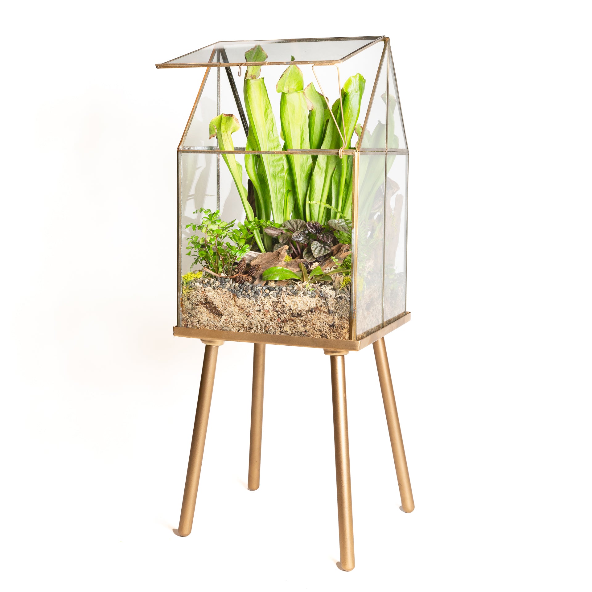 11" Atrium Terrarium with Stand - Urban Sprouts