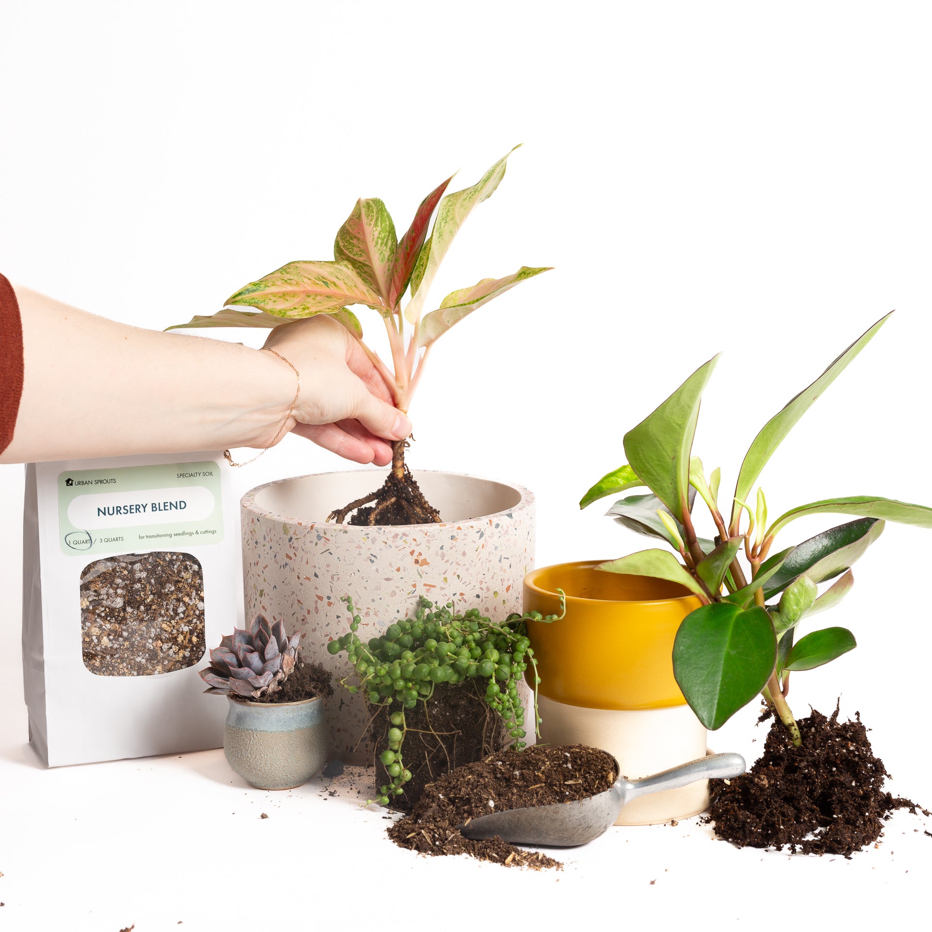 TEMPLATE // Repot Your Plants! Open House - Urban Sprouts